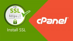 upload-ssl-cpanel